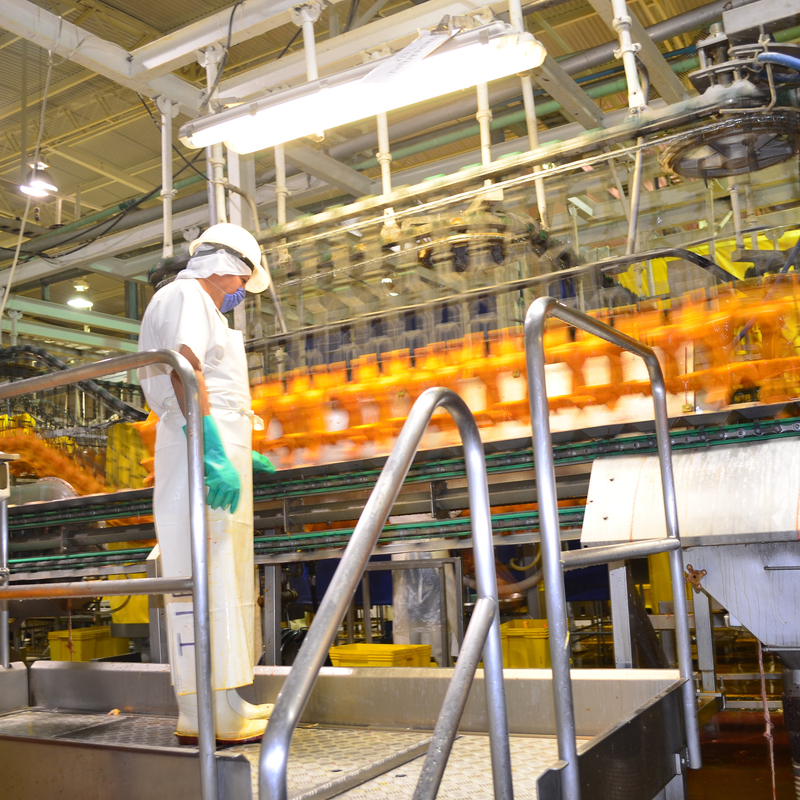 Levantamientos fotográficos